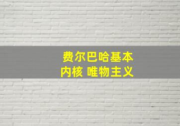 费尔巴哈基本内核 唯物主义